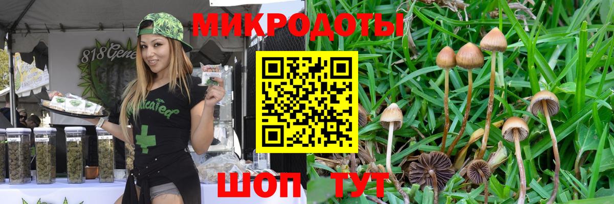 Унеча  Галлюциногенные грибы GOLDEN TEACHER  Вход с VPN 